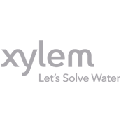 Xylem